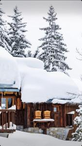 a cabin in the snow with snow covered trees at Meribel Altitude1600 chalet 6 personnes en pleine nature au milieu des pistes in Méribel