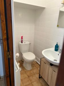 a bathroom with a toilet and a sink at Studio Le Vale - Centre Ville de Givet in Givet