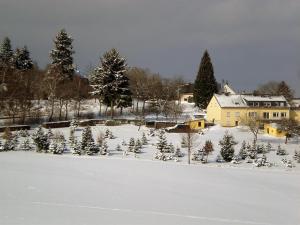 a yard covered in snow with trees and a house at Ferienwohnung Ferien im Dorf in Bleckhausen