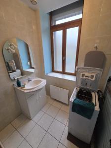 a bathroom with a sink and a stove in it at Appartement Le Gwen - Centre Ville de Givet in Givet