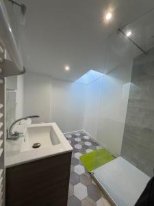 a bathroom with a sink and a shower at Bastille in Tournon-sur-Rhône