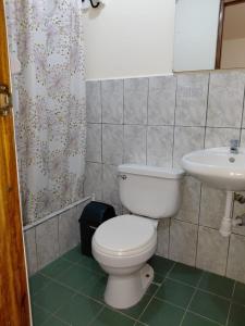 a bathroom with a toilet and a sink at HOSPEDAJE D`NOA En el centro de Oxapampa in Oxapampa
