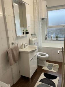 a bathroom with a sink and a toilet and a window at Apartman Spaja in Trebinje +12 photos