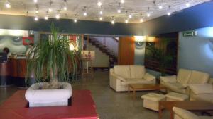 a living room with couches and a potted plant at Hotel Carol & Residence Grazia in Rimini