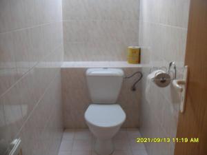a bathroom with a white toilet in a stall at Apartmány Prima-Pokoje in Mimoň +3 photos