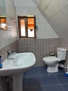 a bathroom with a sink and a toilet at Bujtina Vellezerit Grrela in Theth +31 photos