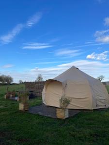 a tent in a field with some plants in it at Nine Acres, Hot Tub, peaceful in Brackley +16 photos