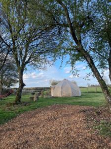 a white tent in a field with two trees at Nine Acres, Hot Tub, peaceful in Brackley