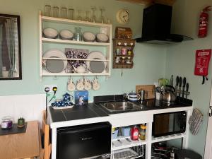a kitchen with a sink and a counter top at The Aultnamain Shepherds Hut in Wester Fearn