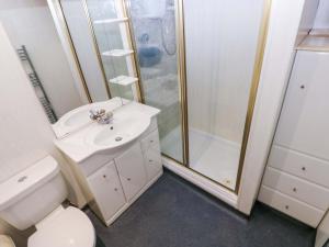 a bathroom with a shower and a sink and a toilet at 1 Hilton Flats in Tenby