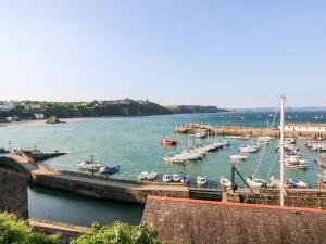 a group of boats docked in a harbor at 1 Hilton Flats in Tenby