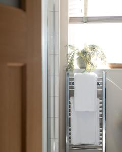 a towel rack in a bathroom with a plant at Blu's Seaview Apartment in Rhos-on-Sea