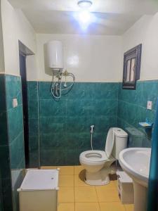 a bathroom with a toilet and a sink at villa EMMANUEL -2 in Belanitra +2 photos