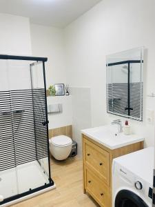 a bathroom with a shower and a toilet and a sink at Ferienwohnung auf der Spreeinsel in Spremberg