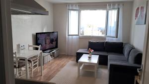 a living room with a couch and a table and a tv at Appartement T2 cosy in Canteleu