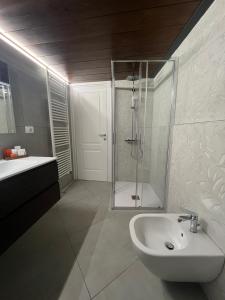 a bathroom with a shower and a sink at Il Poggetto Bed and Breakfast in Bovino