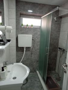 a bathroom with a shower and a toilet and a sink at Mitrovića kuća in Arandelovac +37 photos