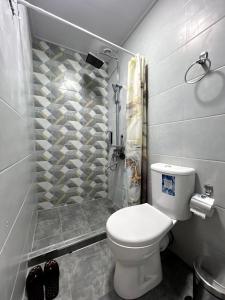 a bathroom with a toilet and a shower at Shahina in Samarkand +29 photos