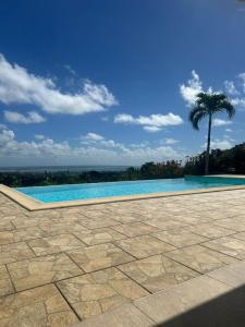 a swimming pool with a palm tree in the background at Villa Renée in Petit-Bourg