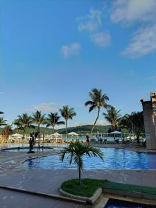 a palm tree in the middle of a swimming pool at Inefável flat Porto Marina Resort in Mangaratiba