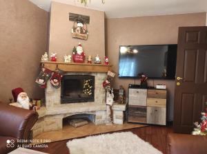 ein Wohnzimmer mit Kamin und Weihnachtsdekoration in der Unterkunft Forest Vila in Buşteni + 17 Fotos