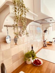 a kitchen with a plant hanging from the ceiling at Sea & Home in Gąski