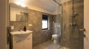 a bathroom with a shower and a sink and a toilet at GT Nord Hof in Müllenbach
