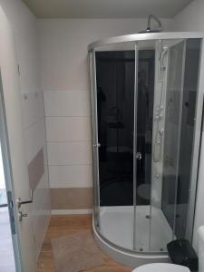 a shower with a glass door in a bathroom at Privatunterkunft Kaning in Kaning
