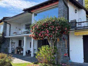 a house with a tree with flowers on it at Casa Rocca Nera by HolAp in Ronco sopra Ascona