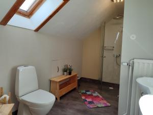 a bathroom with a toilet and a sink and a shower at Viol in Filipstad +39 photos