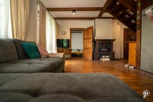 a living room with a couch and a fireplace at Majcia in Jelenia Góra