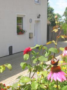 Vonkajšia záhrada v ubytovaní Casa Andelka
