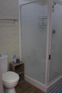 a bathroom with a shower with a toilet and a sink at Cozy and Central Bachelor Flat in Wellington
