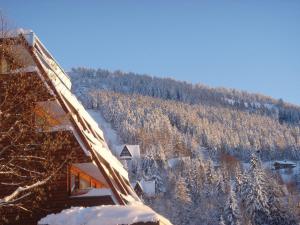 Hôtel Arcadien talvel