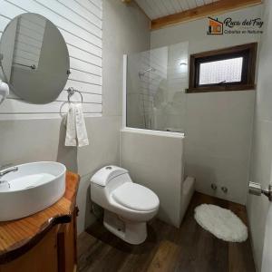 a bathroom with a toilet and a sink and a mirror at Ruca del Fuy in Panguipulli +44 photos