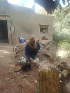 a woman bending over to pet two animals at Sidi hssain in Marrakesh