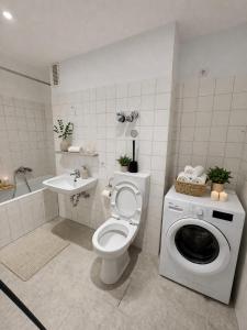 a bathroom with a toilet and a sink and a washing machine at Monteurunterkunft Frankenthal in Ormsheimerhof