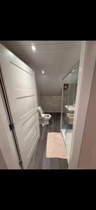 a bathroom with a toilet and a glass door at The Arch apartment in Bangor