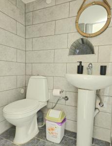 a bathroom with a toilet and a sink and a mirror at Rigas stone tower east Mani 2 in Agriliá
