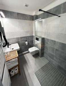 a bathroom with a toilet and a sink at Wellness penzion a restaurace U Gigantu in Pilsen