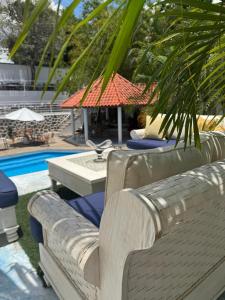a pool with two lounge chairs and a palm tree at Onyx luxury rd in La Romana