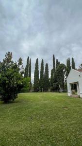 a group of trees in a field with a house at Arcadia entre cipreses in Pueblo Esther