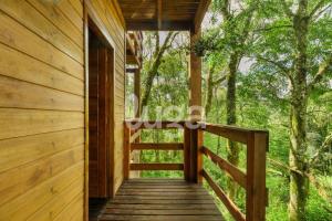 a wooden walkway leading to a cabin in the woods at Suite Top – Cyclists' Paradise in Gramado