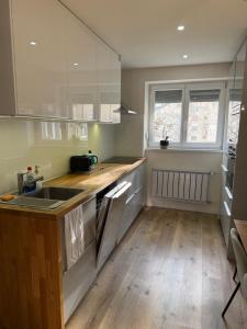 a kitchen with a sink and a counter top at 2 izbový moderný byt centrum in Veľký Krtíš