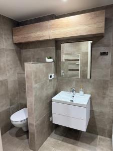 a bathroom with a white sink and a toilet at 2 izbový moderný byt centrum in Veľký Krtíš +10 photos