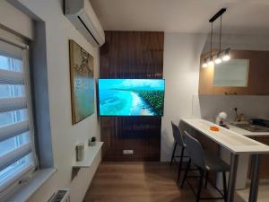 a kitchen with a sink and a television on the wall at Oaza Apartmani Jakovo HERA in Jakovo