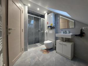a bathroom with a shower and a toilet and a sink at Oaza Apartmani Jakovo HERA in Jakovo