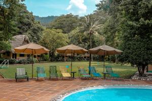 a group of chairs and umbrellas next to a pool at Picocanoa Rodavento in Jalcomulco