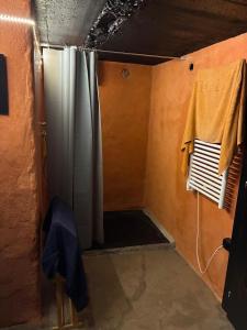 a small room with a shower and a curtain at Le refuge boisé in Hérémence