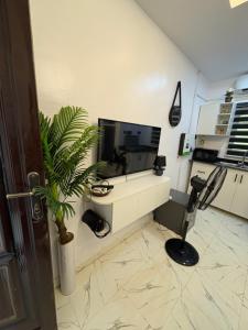 a room with a tv and a desk with a plant at Studio apartment-Akilo in Lagos
